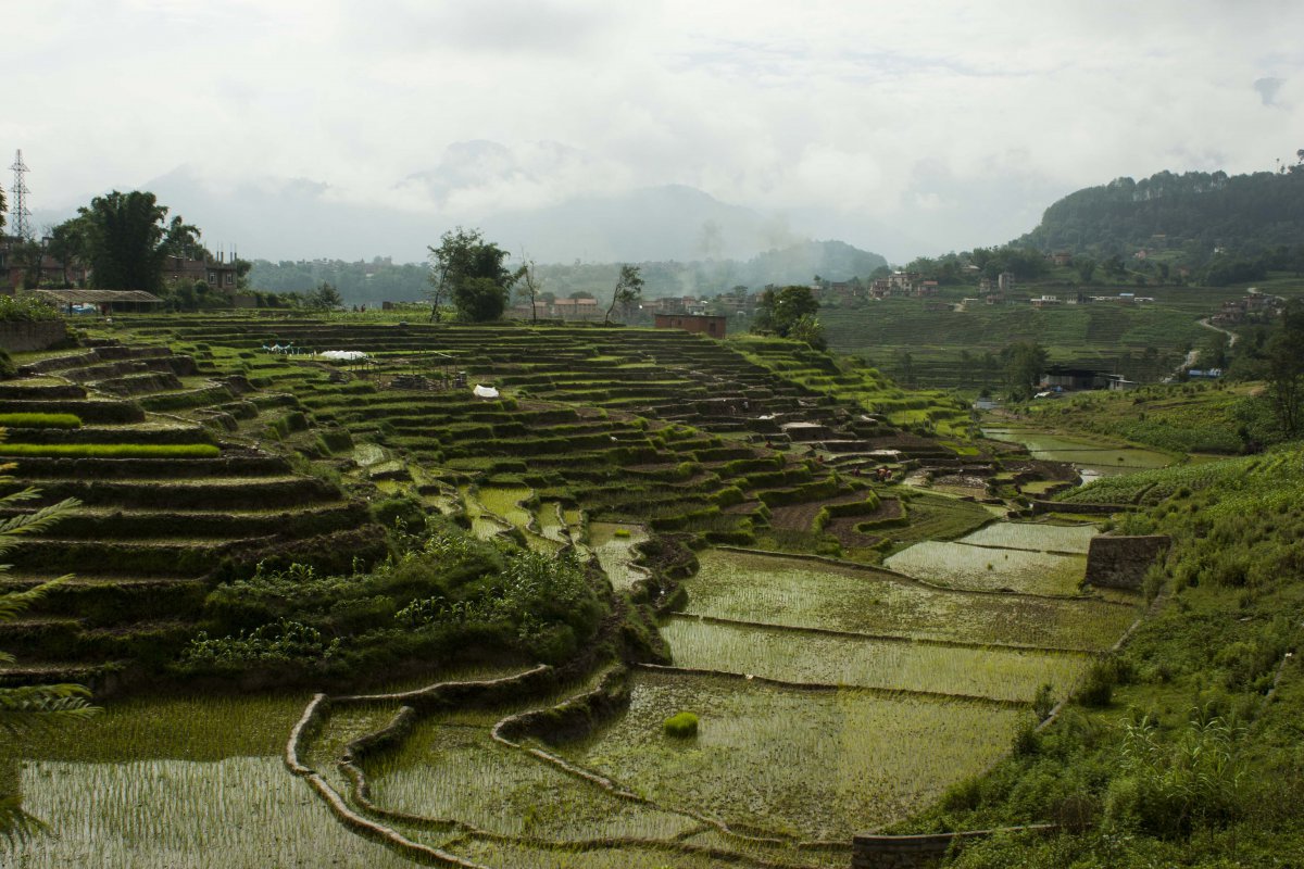 Spectacular rice terraces scenery pictures