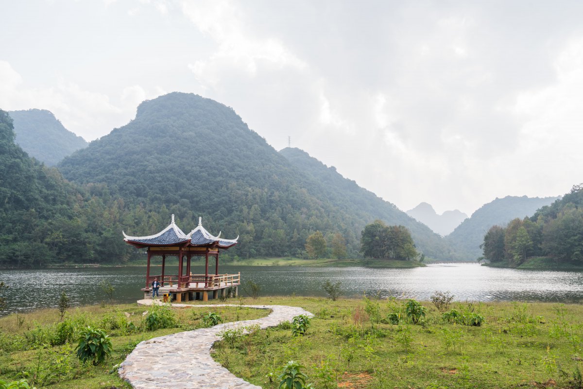 Scenery pictures of Guangxi Debao Red Maple Forest Park