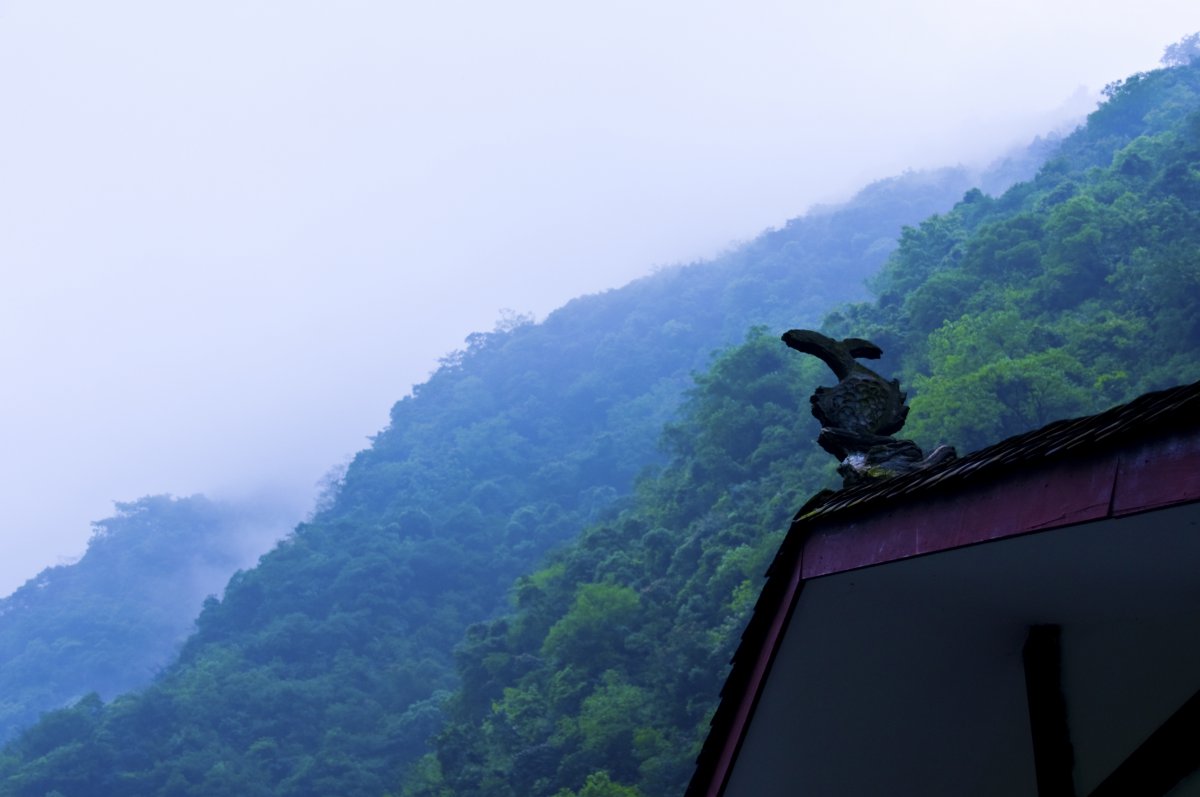 Chongqing Shenlong Gorge scenery pictures