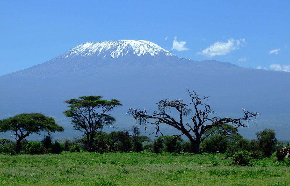 Mount Kilimanjaro scenery pictures in Tanzania