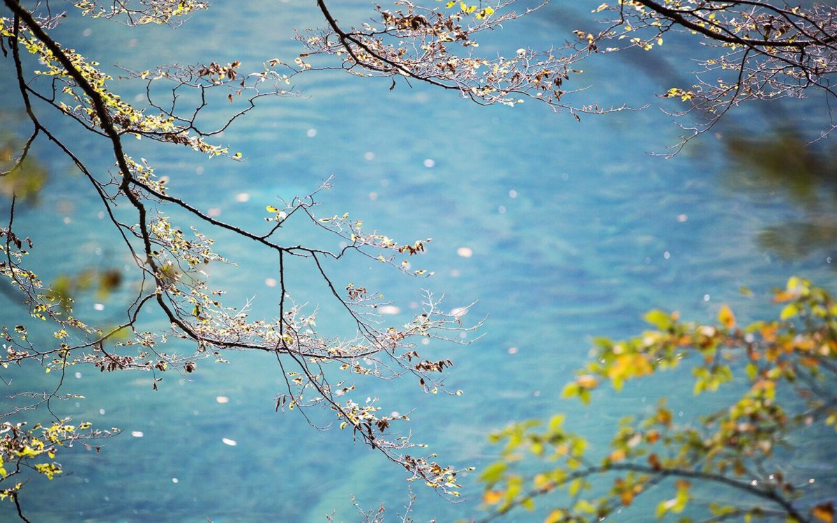 Beautiful pictures of autumn leaves in Jiuzhaigou Valley